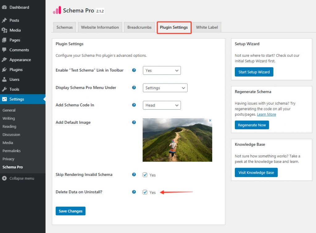 plugin settings to delete data